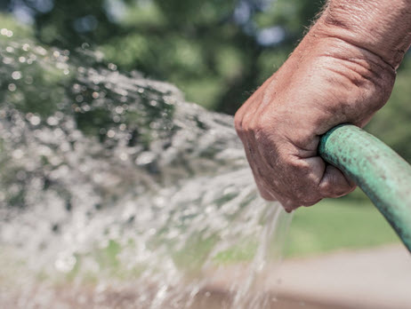 clean water and hose